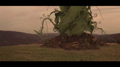 Tree in the video