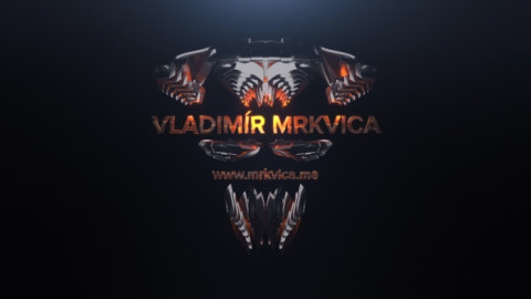 2015_AVFX_ZS_1_r_Mrkvica_intro