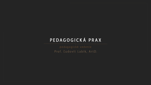 pedagogical seminar