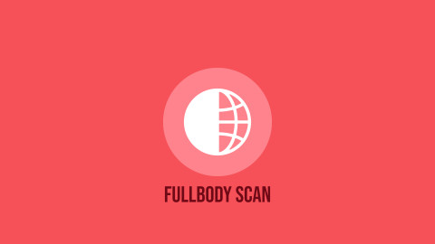 Full Body Scan